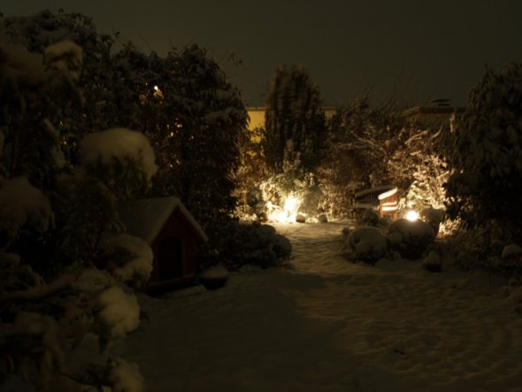 Garten 'Garten im Schnee'