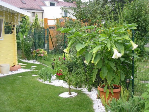 Garten 'Garten'