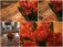 Auf dem Kreativmarkt hier in unserem Dorf habe ich mir diesen schönen Tischläufer gegönnt... und die Tulpen passen farblich hervorragend dazu :-) Vor 