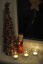 Der Baum stammt aus Serbien, der Weihnachtsmann aus einem Geschäft in der Nähe...